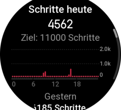 The step count, for example, can be displayed directly