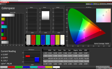 CalMAN: Colour space (True Tone activated, sRGB target colour space)