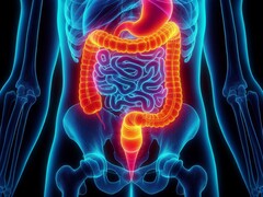 Enteral ventilation has been successfully tested in humans for the first time. (Image source: David_SMC via Pixabay)