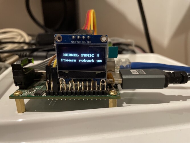 The full-screen message for kernel errors does not necessarily have to have a blue background (image: @javierm@fosstodon.org).