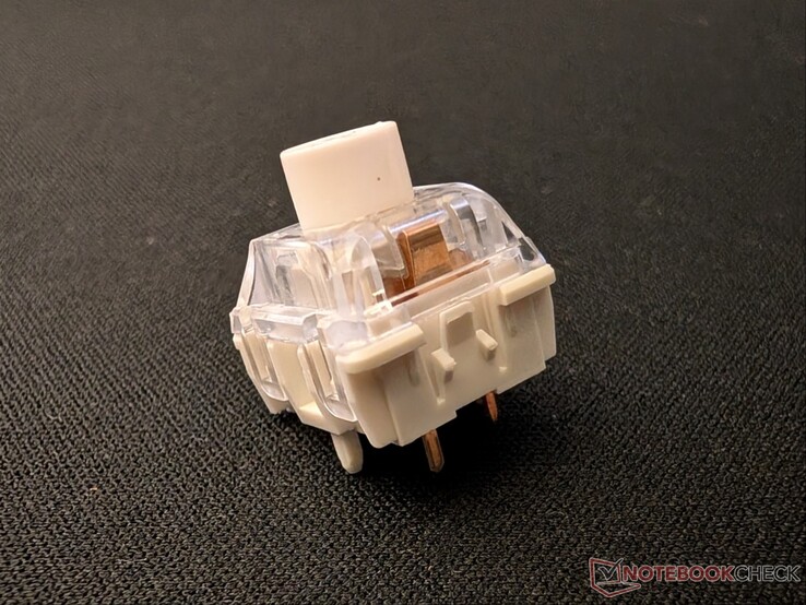 Close up of the Nexus switch with the metal leaf.