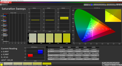 CalMAN Saturation