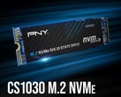 PNY CS1030 is available in 250 GB, 500 GB, 1 TB, and 2 TB capacities. (Source: Amazon/PNY)