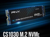 PNY CS1030 is available in 250 GB, 500 GB, 1 TB, and 2 TB capacities. (Source: Amazon/PNY)