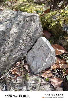 Picture taken with the main camera