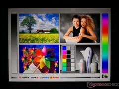 Wide IPS viewing angles. Colors degrades only slightly even from extreme angles