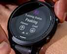 Beta Version 12.51 is the first beta build for the Forerunner 245, 745 and 945 in almost a month. (Image source: Garmin)