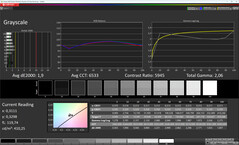Grayscale (Color Profile: Natural, Target Color Space: sRGB) | Cover Display