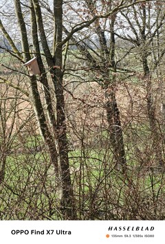 Picture taken with the tele camera (6x optical zoom)