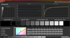 Calman grayscale calibrated