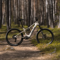 The Amflow TL Carbon features DJI's Avinox M2 mid-drive motor