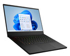 Razer Blade 14 with Ryzen 9 6900HX on sale for $2500 USD with two-year warranty (Source: Costco)