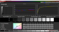 CalMAN Grayscale pre-calibration (target color space P3)