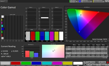 CalMAN sRGB color space