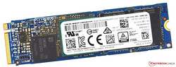 The Toshiba SSD with 256 GB of storage