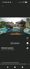 Built in bird social