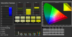 CalMAN saturation (reference color space sRGB)