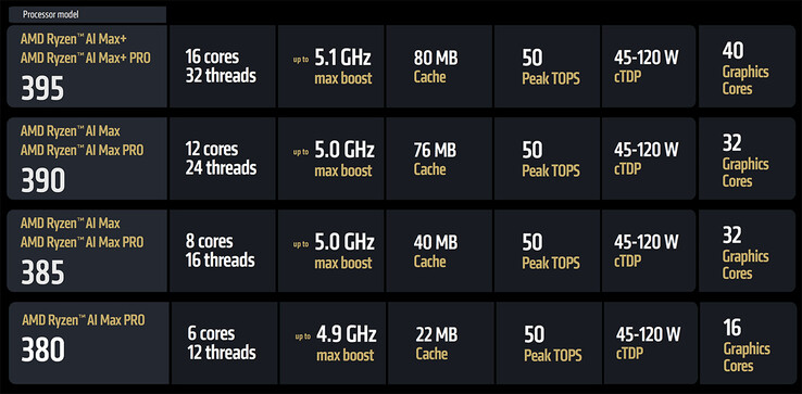 The Strix Halo lineup (Image source: AMD)