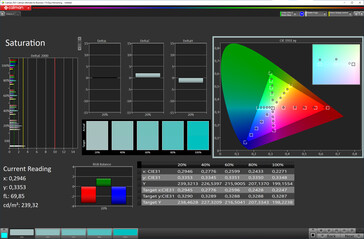 Saturation (mode: natural; color temperature: adjusted; target color space: sRGB)