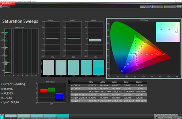 Color saturation ("Original Color" color scheme, sRGB target color space)