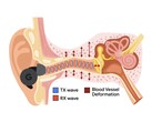 APG uses ultrasonic tones modulated by pressure changes in the ear canal (Image Source: Google Research)