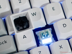 Keychron Q1 HE 8K switch backlighting