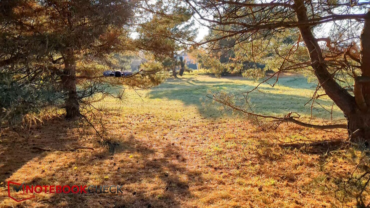 The drone confidently follows through the branches