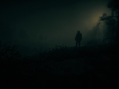 A screengrab of Red Dead Redemption 2 running on PC (image source: Steam Community)