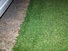 Edge cutting on the driveway