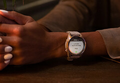 Garmin's recent 'Pro' smartwatches are once again eligible to receive beta updates. (Image source: Garmin)
