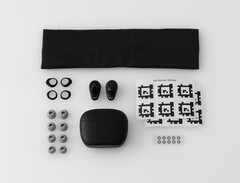 Included in the box are four sizes of foam tips, two stabilizing fins and the headband for the scans (Image source: Final)