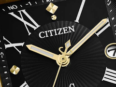 The Citizen ES9503-01E