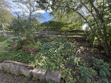 Photo taken using ultra-wide-angle camera