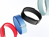 Fitbit Air competes with Whoop 5.0 at a much lower price.