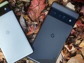 The Google Pixel 6 series. (Source: Techidroid)
