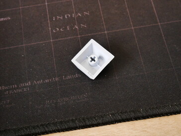 Keycap bottom