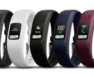 Garmin Vivofit 4 activity tracker (Source: Garmin)