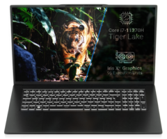 Thunderbolt 4 device at an affordable price (Image Source: Tuxedo)