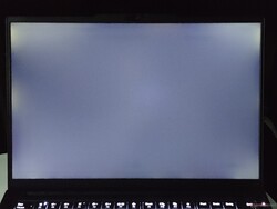 Backlight Bleeding (shown enhanced here)