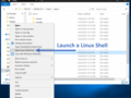 Coming Soon: Open a Linux terminal directly from File Explorer. (Source: Microsoft)