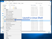 Coming Soon: Open a Linux terminal directly from File Explorer. (Source: Microsoft)