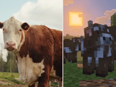 A screengrab from the Minecraft Tiny Takeover Update comparing in-game cows with a real one