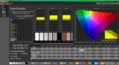 ColorChecker before calibration (P3)