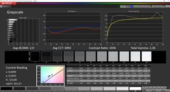 CalMan ColorChecker - Grayscales