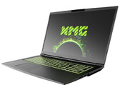 Schenker XMG Core 17 (Tongfang GK7MRFR) in review: Mid-range gaming laptop without hot flashes