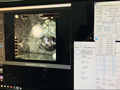 Intel Core i9-9900K 5 GHz shown running the Cinebench R15 benchmark. (Source: Lau Kin Lam on YouTube)