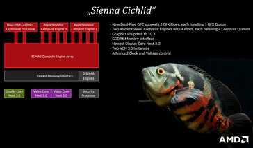 AMD Sienna CiChlid architecture. (Image Source: @Locuza_ on Twitter)