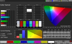 CalMAN color space sRGB