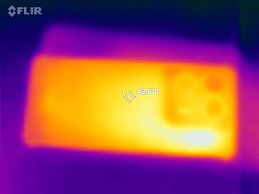 Heat map back