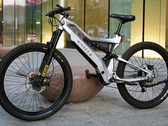 The Nireeka Revenant e-bike can be fitted with a 1,000 W motor delivering up to 85 Nm of torque. (Image source: Nireeka)